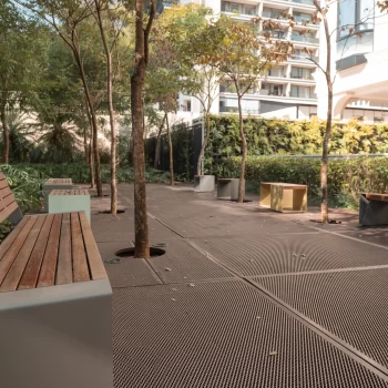 AURI FARIA LIMA_2489