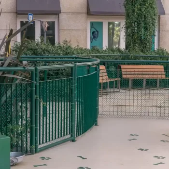 _ESPAÇO PET - SHOP.ANÁLIA FRANCO2490