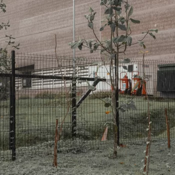 LEO MADEIRAS BARUERI_5650